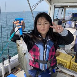 ズズキ・鯛・アコウ・ヒラメ